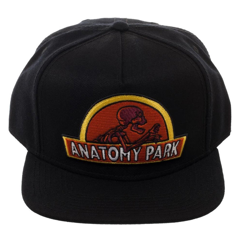 Rick And Morty Anatomy Snapback Hat