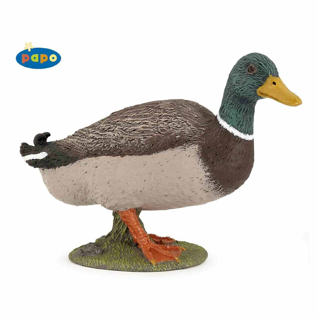 Papo Mallard Duck Animal Figure 51155 - Radar Toys