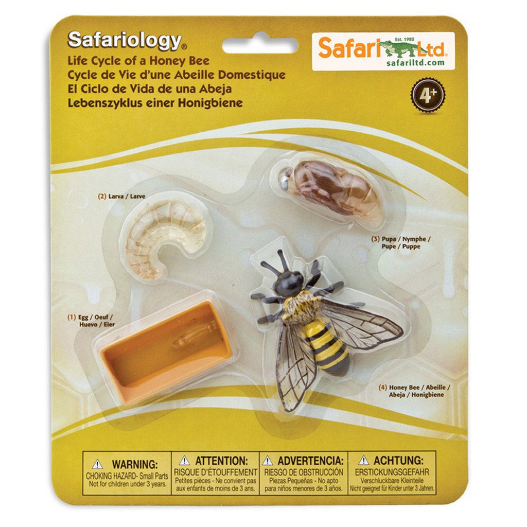 Life Cycle Of A Honey Bee Figures Safari Ltd - Radar Toys