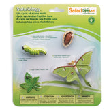 Safari Ltd Safariology Life Cycle Of A Luna Moth Figures 663516 - Radar Toys