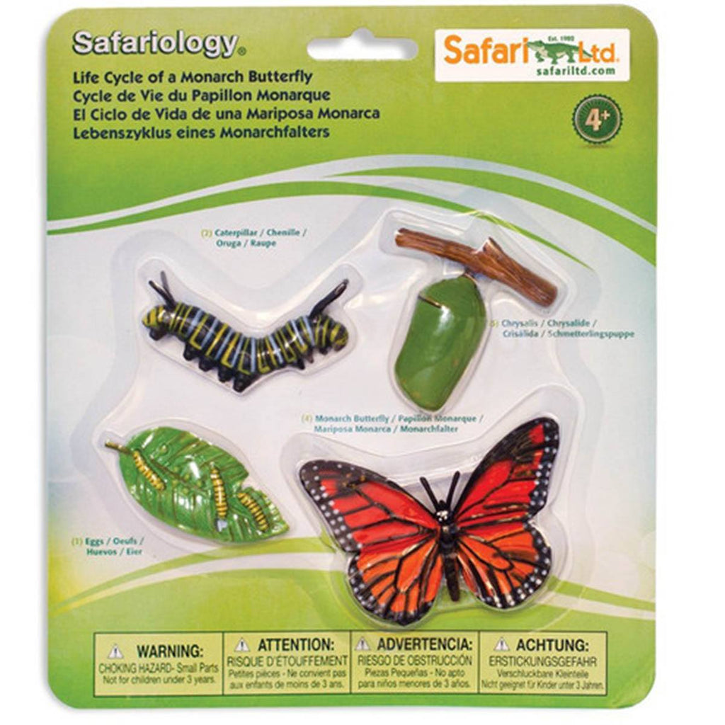 Life Cycle Of A Monarch Butterfly Safari Ltd