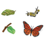 Life Cycle Of A Monarch Butterfly Safari Ltd - Radar Toys