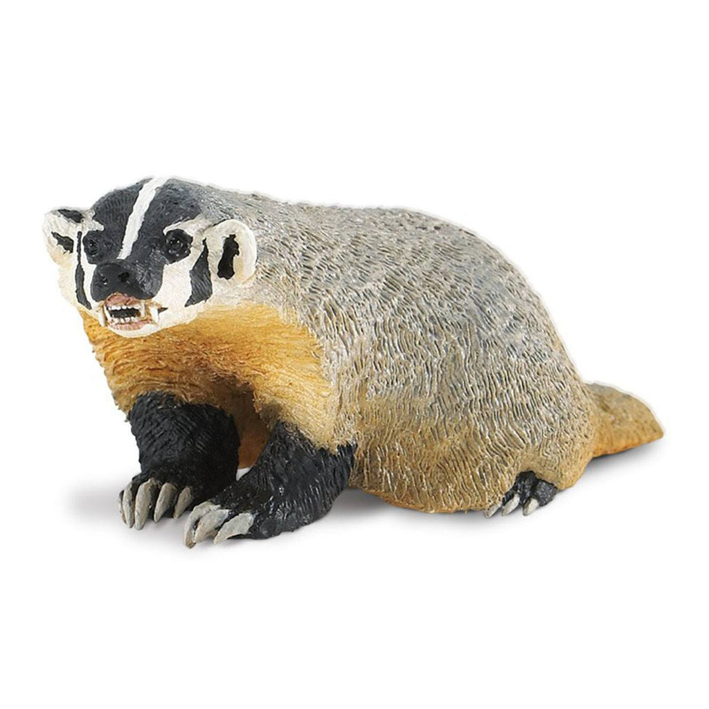 American Badger North American Wildlife Safari Ltd