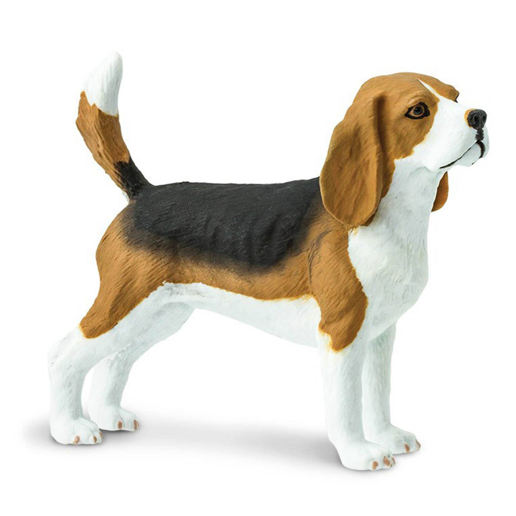 Beagle Best In Show Dogs Figure Safari Ltd