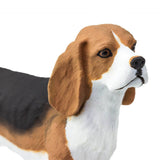 Beagle Best In Show Dogs Figure Safari Ltd - Radar Toys