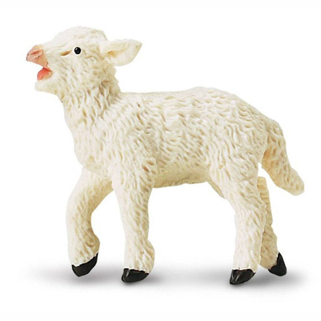 Bleating Lamb Safari Farm Safari Ltd