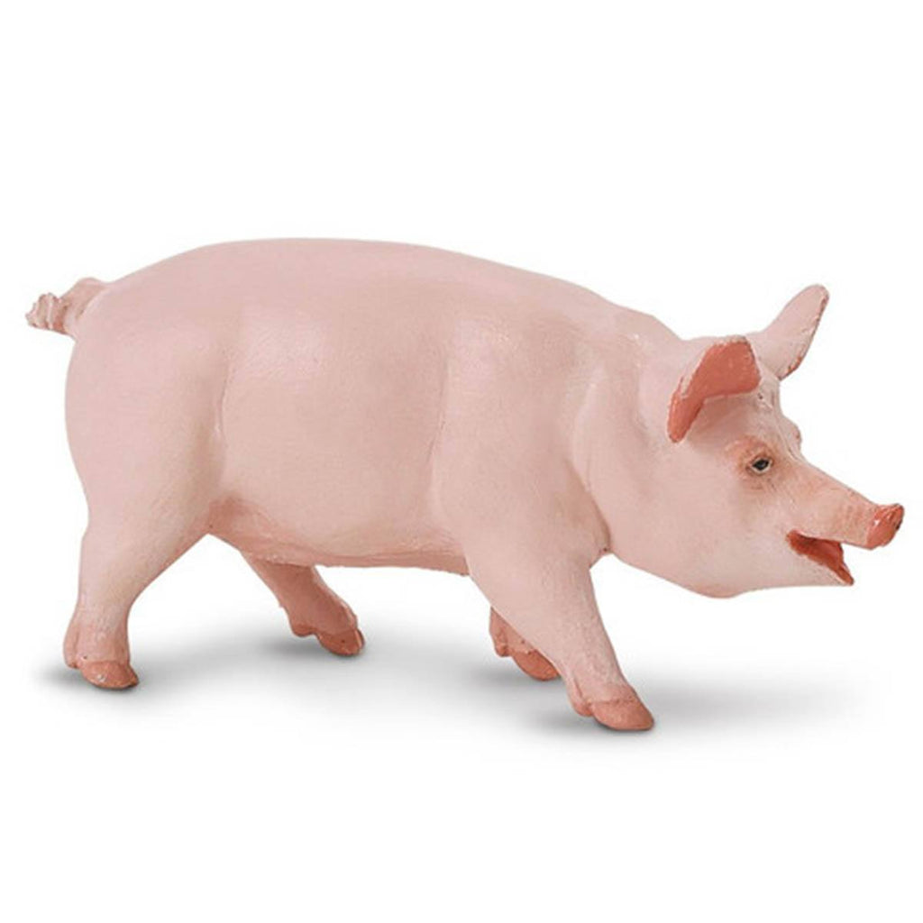 Classic Pig Safari Farm Safari Ltd
