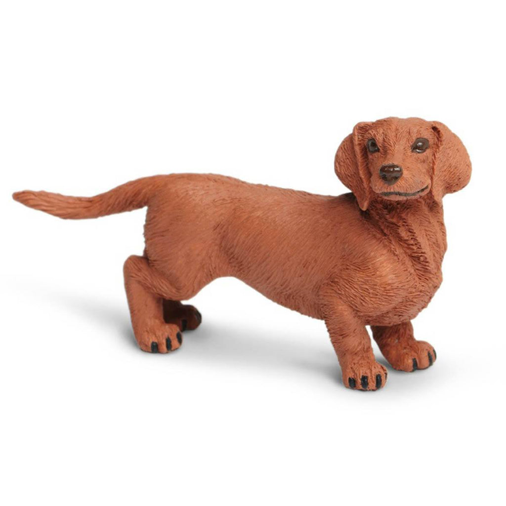 Dachshund Best In Show Dogs Figure Safari Ltd