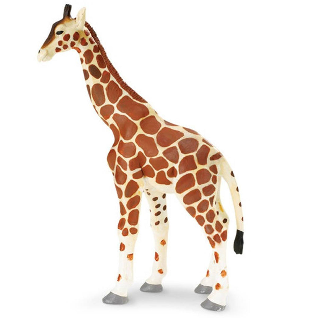 Giraffe Wildlife Safari Ltd