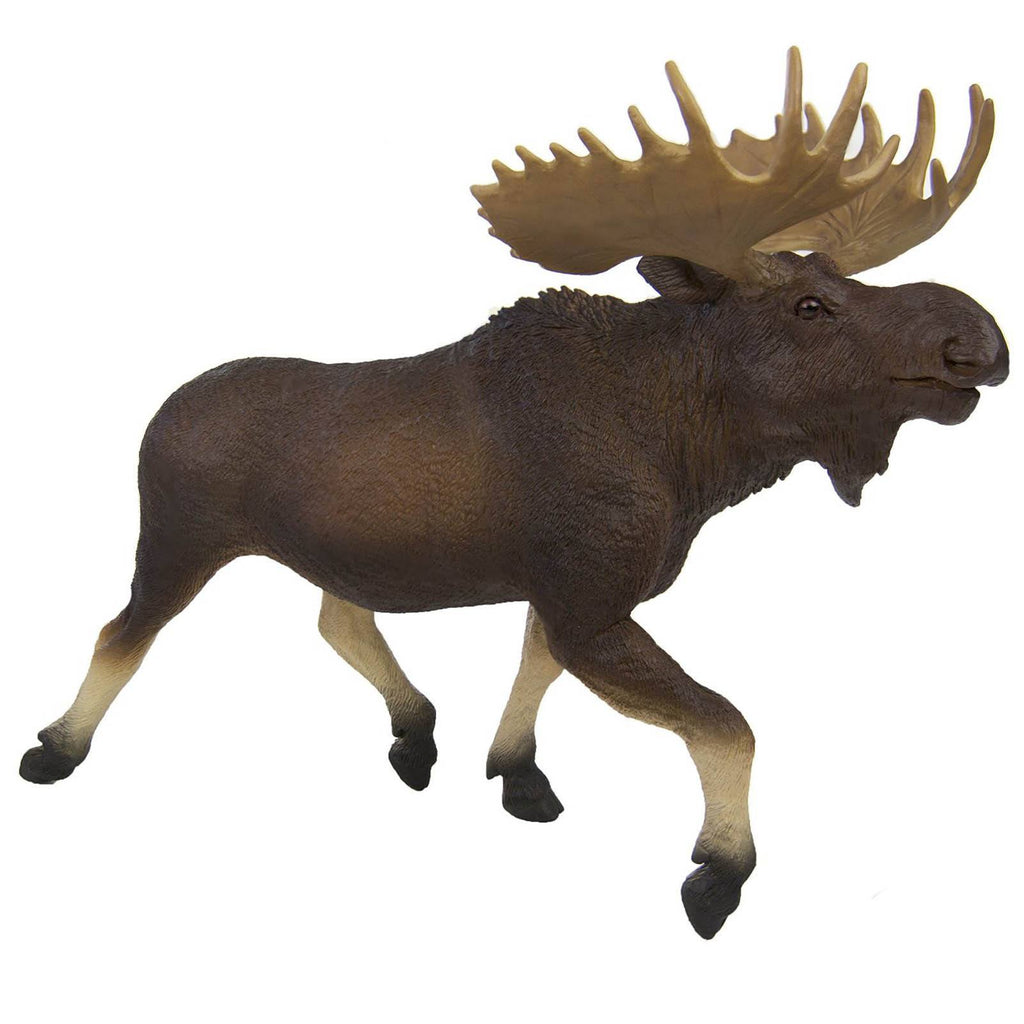 Moose Wildlife Wonders Figure Safari Ltd - Radar Toys