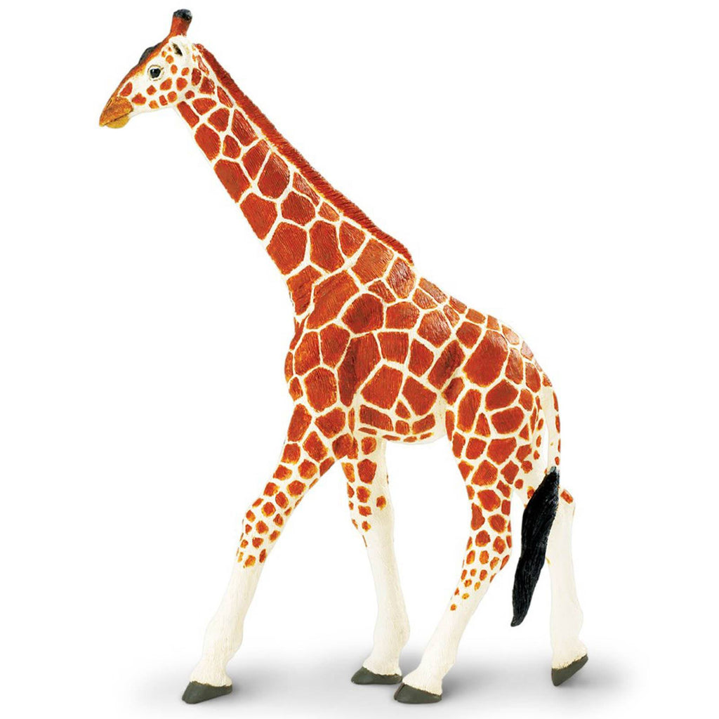 Reticulated Giraffe Wildlife Wonders Figure Safari Ltd