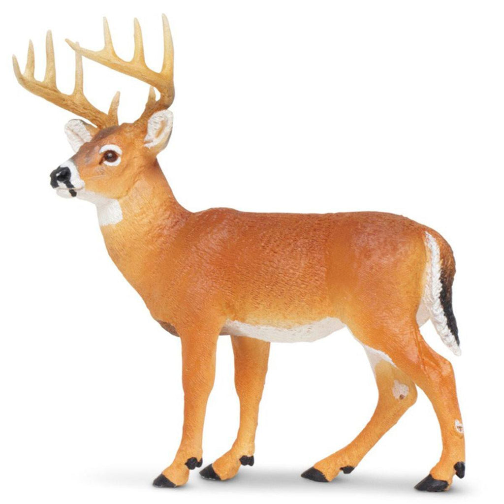 Whitetail Buck North American Wildlife Figure Safari Ltd