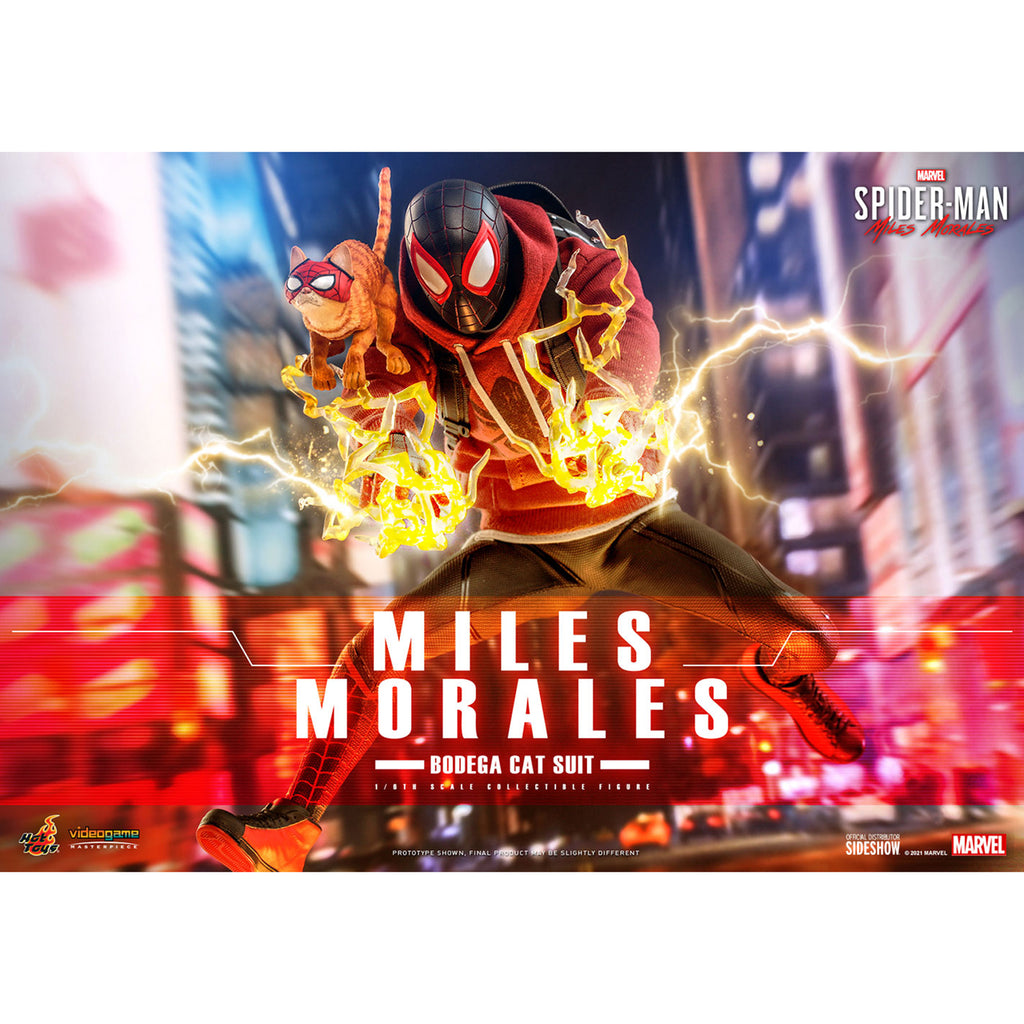 Hot Toys Marvel Spider-Man Miles Morales Bodega Cat Suit Sixth Scale Figure