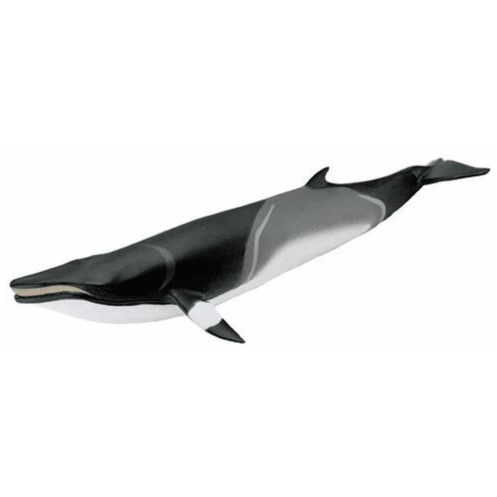 Minke Whale Animal Figure Safari Ltd 100413