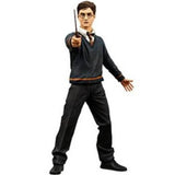 Harry Potter Order Of The Phoenix Series 1 Harry Potter Action Figure - Radar Toys