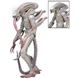NECA Aliens Series 9 Xenomorph Albino Drone Action Figure - Radar Toys