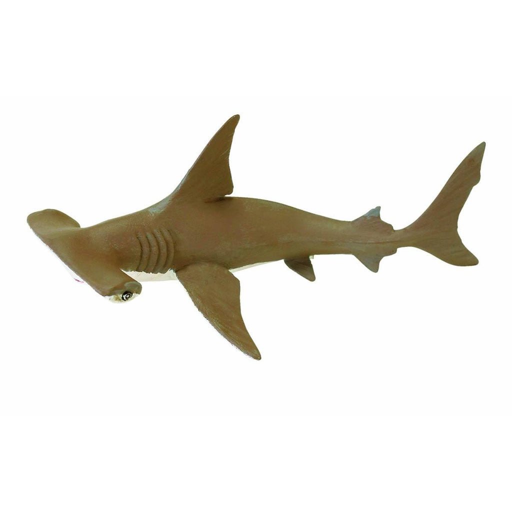 Baby Hammerhead Shark Incredible Creatures Figure Safari Ltd