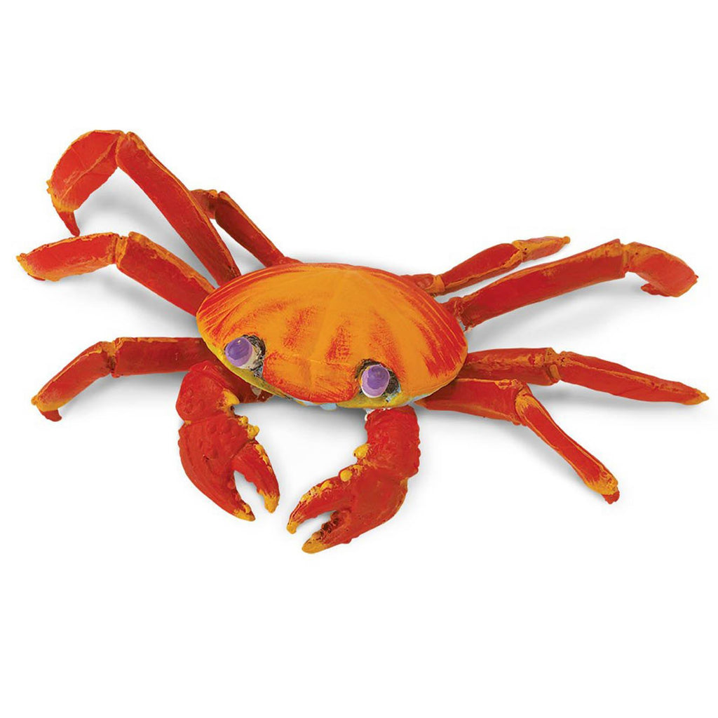 Galapagos Sally Lightfoot Crab Incredible Creatures Figure Safari Ltd - Radar Toys
