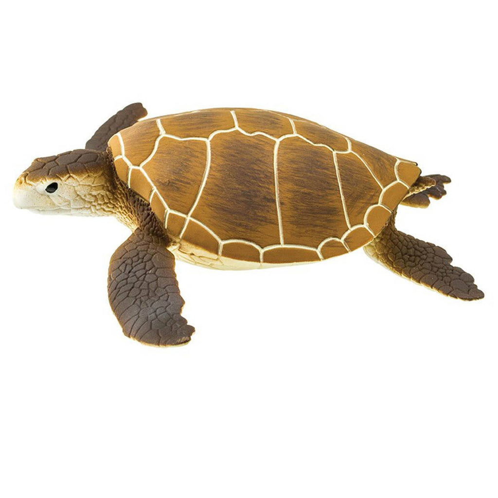 Green Sea Turtle Wild Safari Figure Safari Ltd