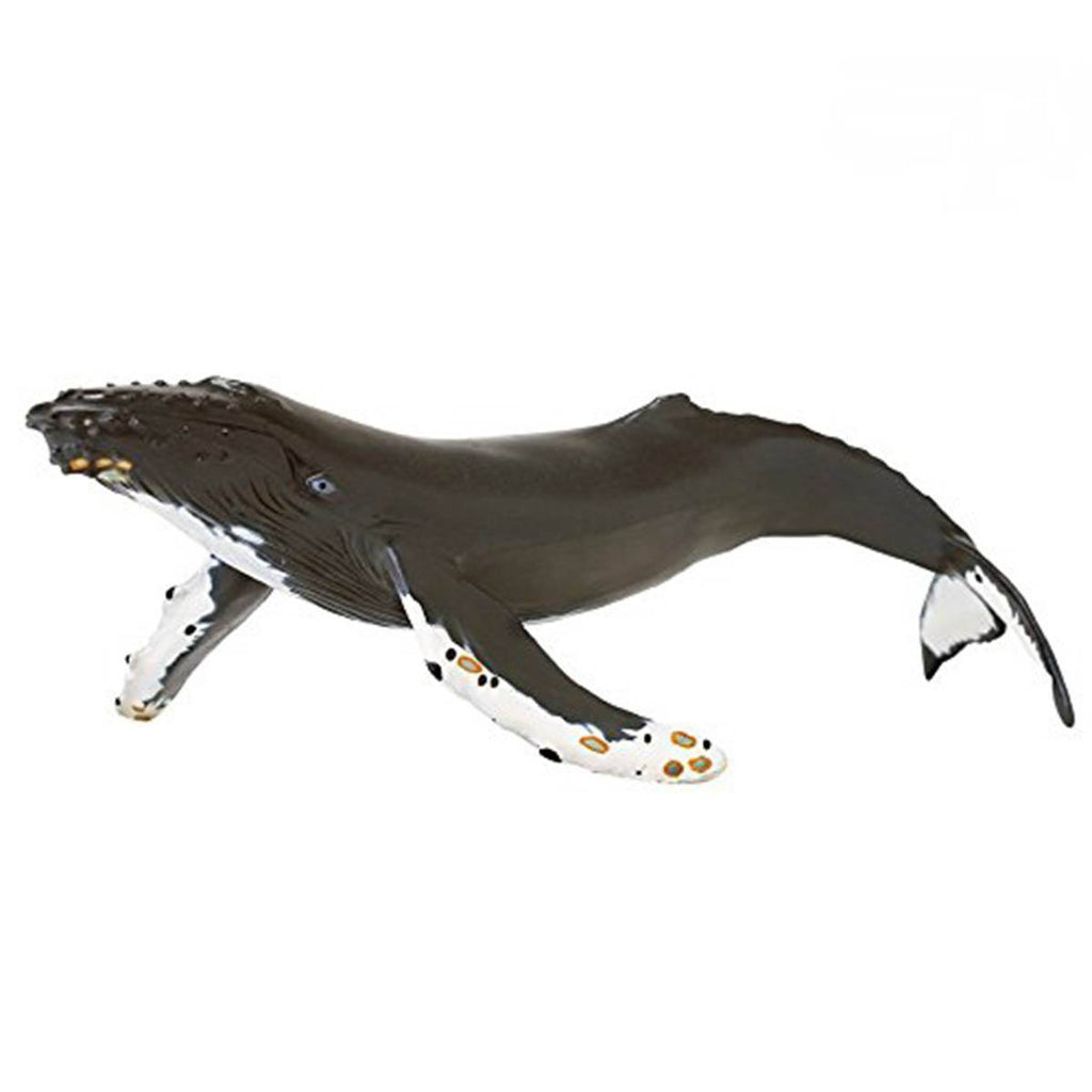 Humpback Whale Sea Life Figure Safari Ltd - Radar Toys
