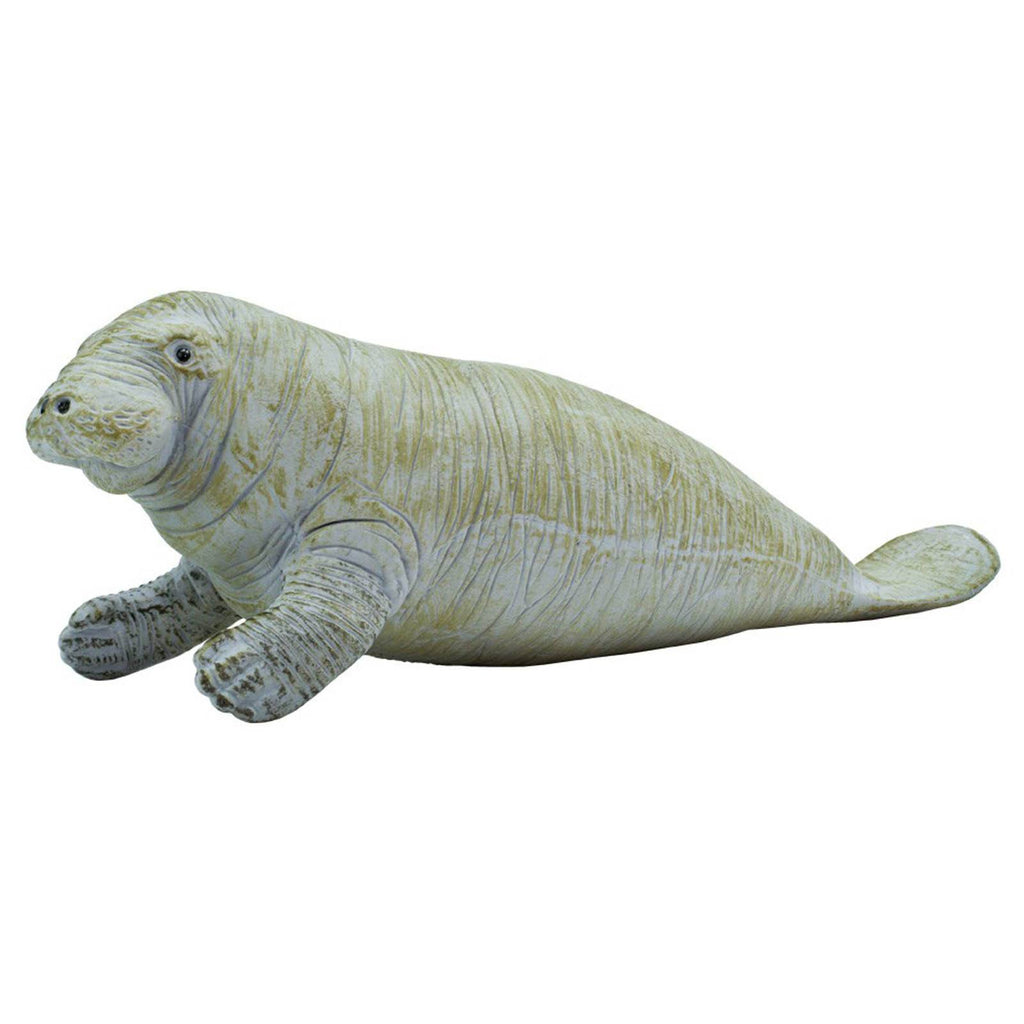 Manatee Sea Life Safari Ltd
