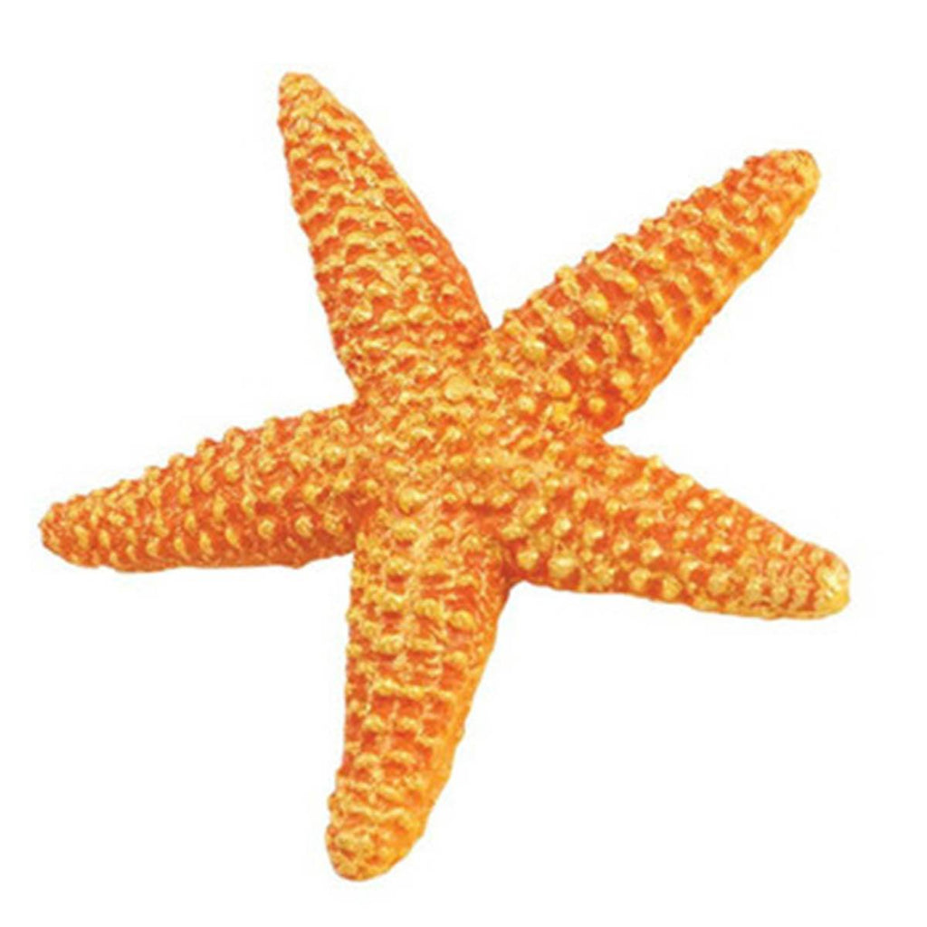 Orange Starfish Sea Life Safari Ltd - Radar Toys