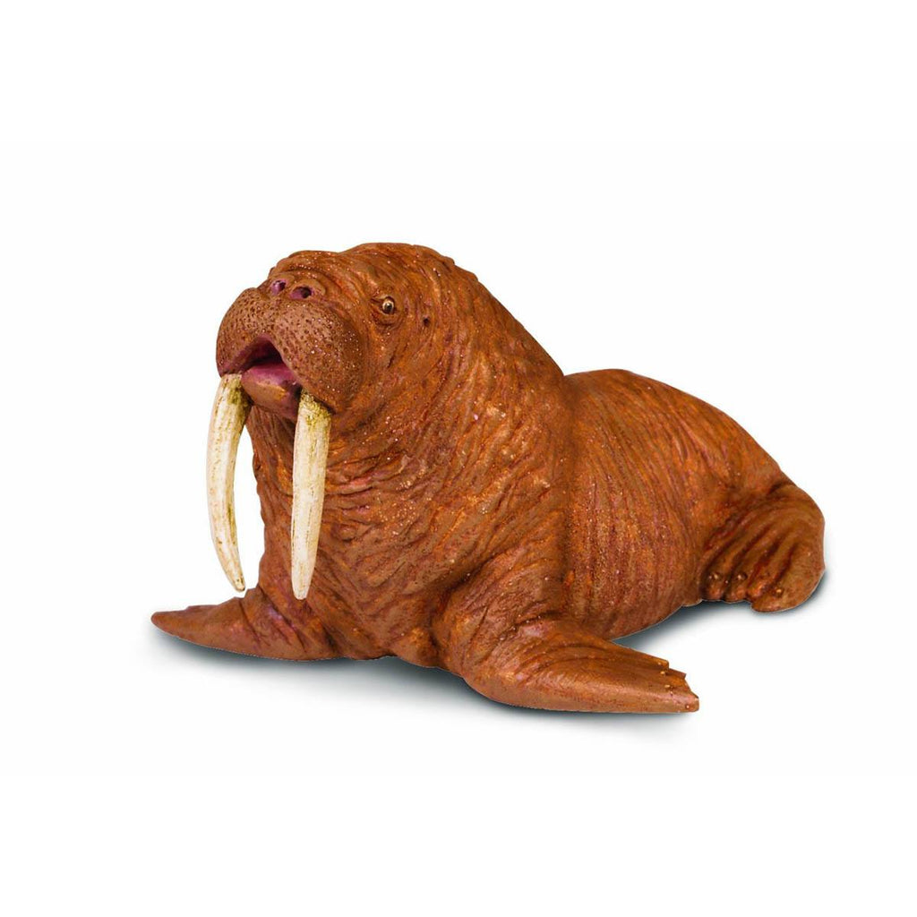 Walrus Sea Life Figure Safari Ltd - Radar Toys