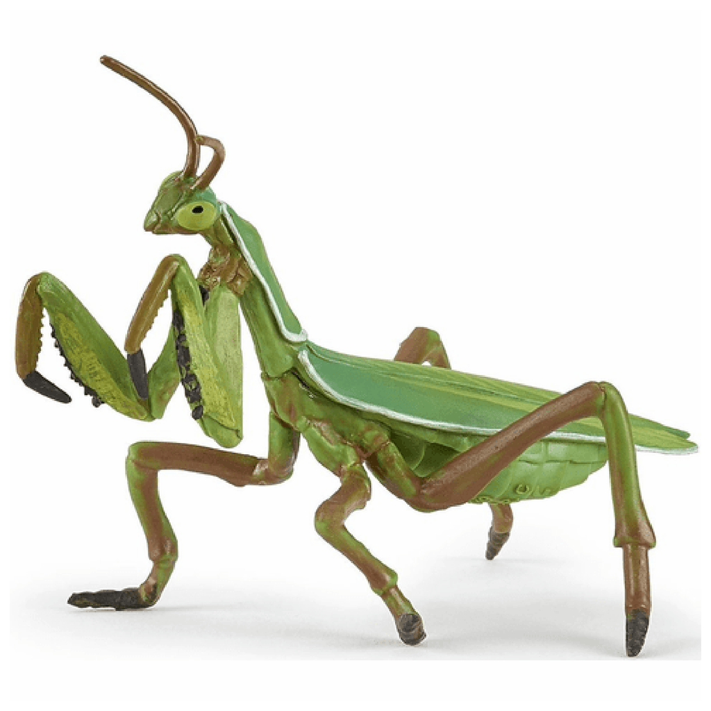 Papo Praying Mantis Animal Figure 50244