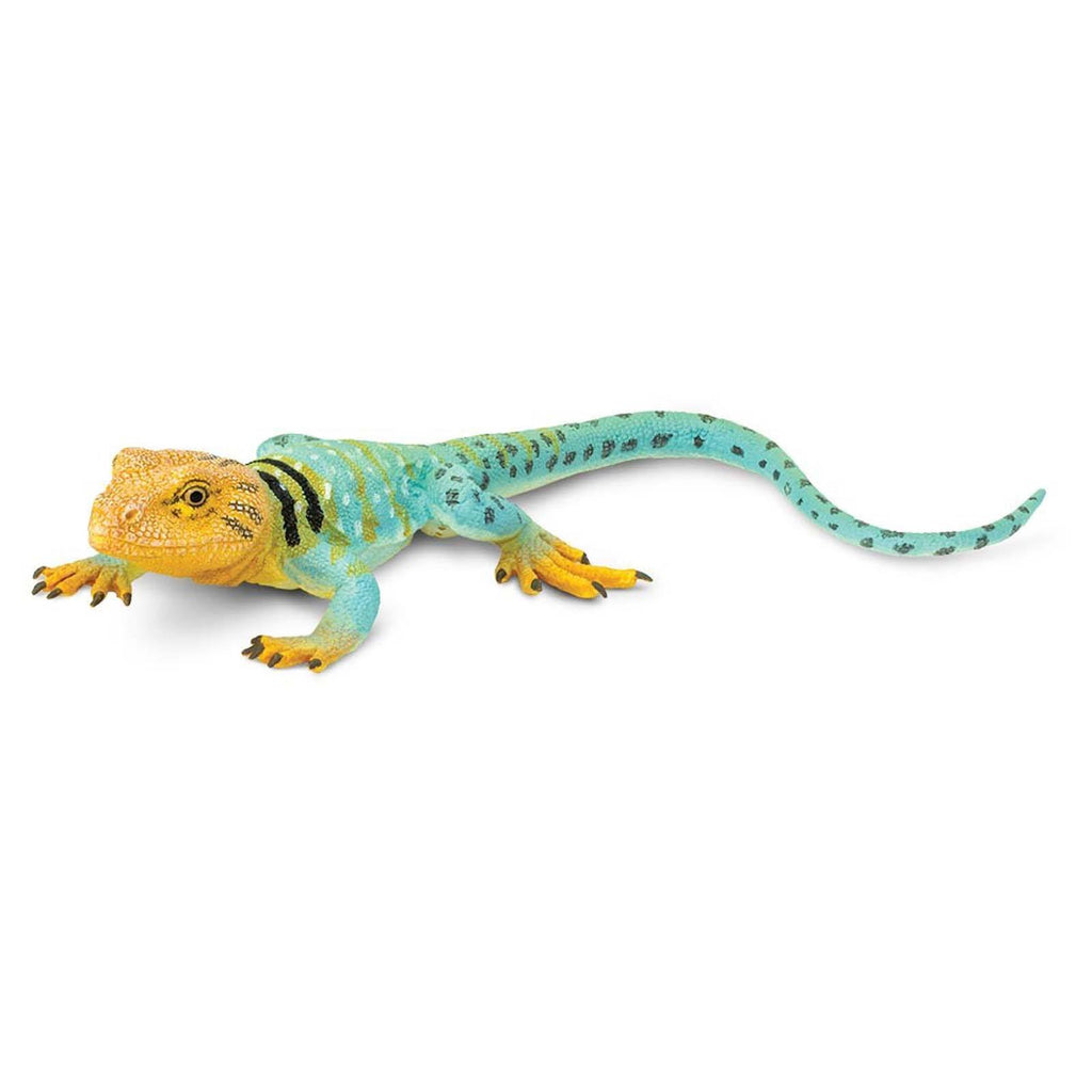 Collared Lizard Incredible Creatures Figure Safari Ltd