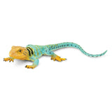 Collared Lizard Incredible Creatures Figure Safari Ltd - Radar Toys