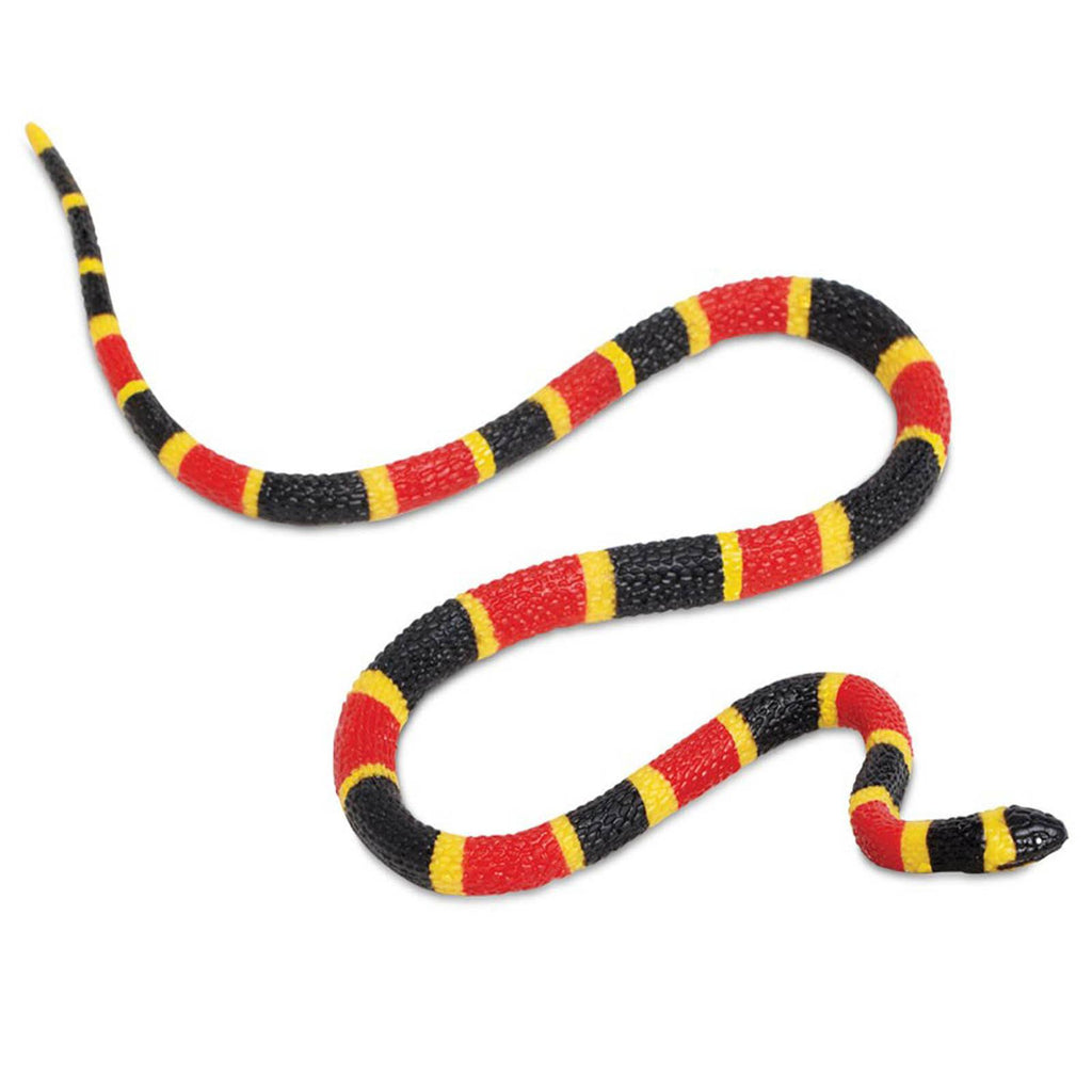 Coral Snake Baby Incredible Creatures Figure Safari Ltd