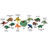 Frogs and Turtles Toob Mini Figures Safari Ltd - Radar Toys