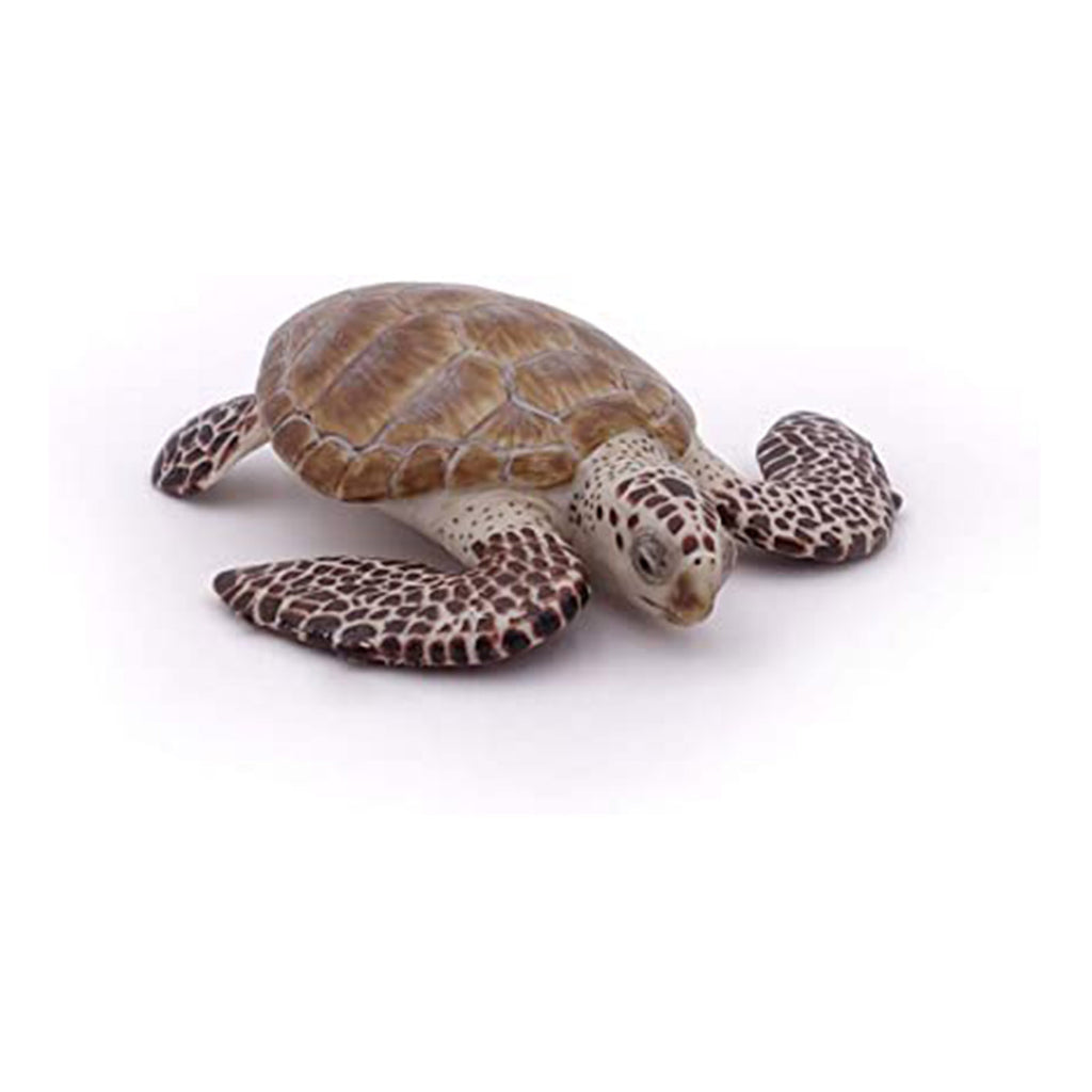 Papo Loggerhead Turtle Animal Figure 56005 - Radar Toys