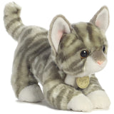 Aurora Miyoni Grey Tabby Kitten 9 Inch Plush Figure - Radar Toys