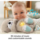 Fisher Price Soothe 'N Snuggle Otter - Radar Toys